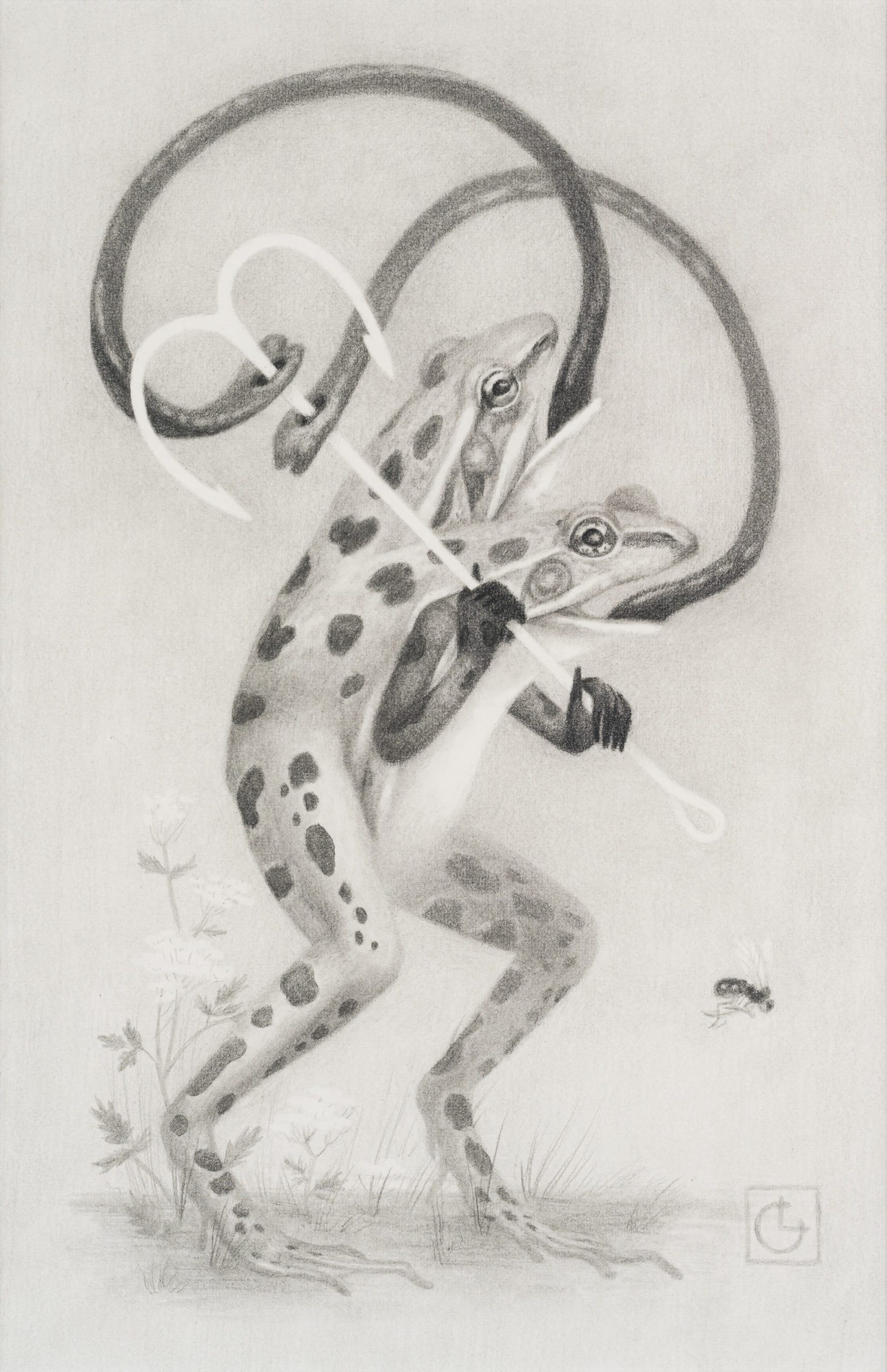 a black-and-white painting by Laura Catherwood of two-headed spotted frog with its tongues pierced by a hook