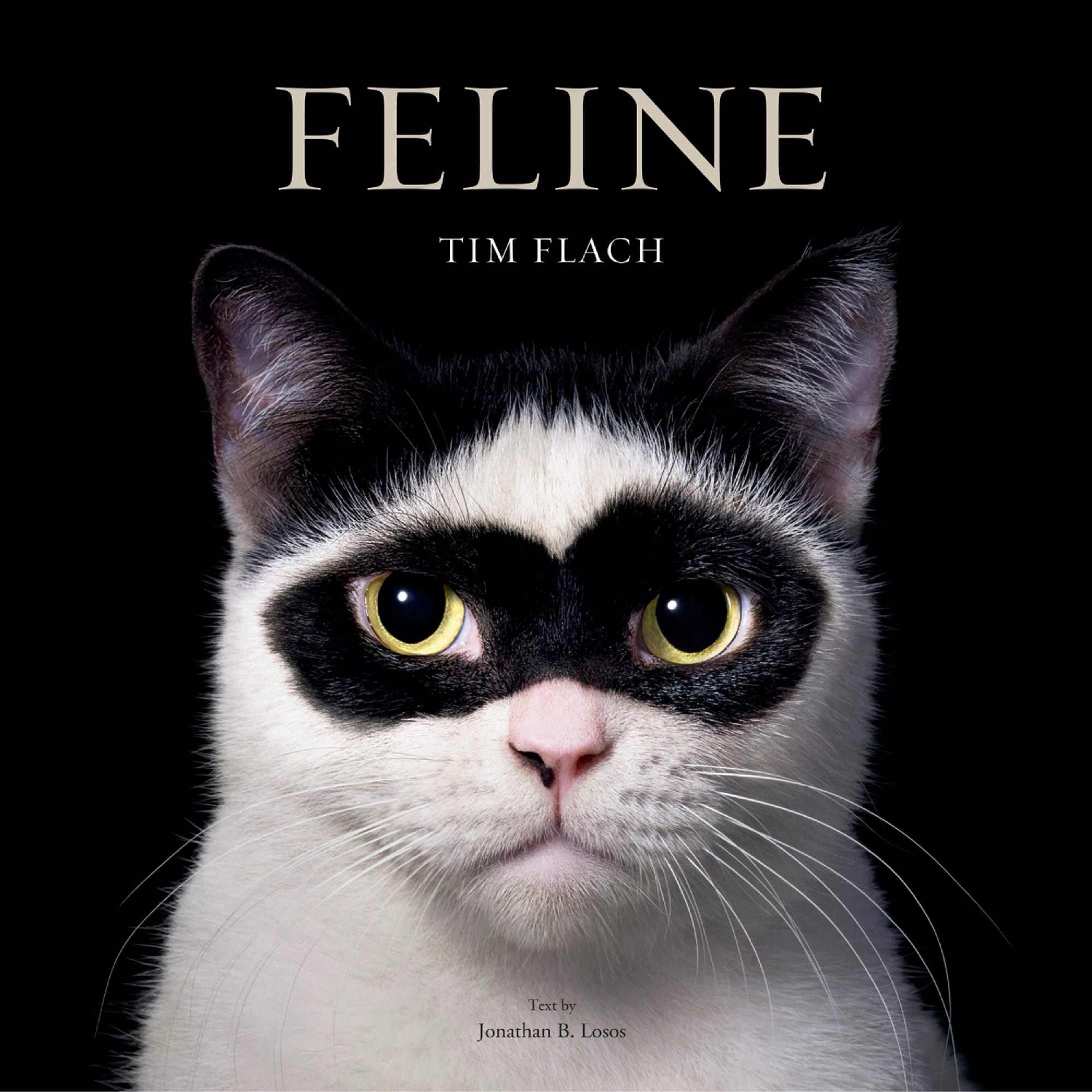 the cover of the book 'Feline' by Tim Flach featuring a photo of a cat with a mask-like black spot over its eyes