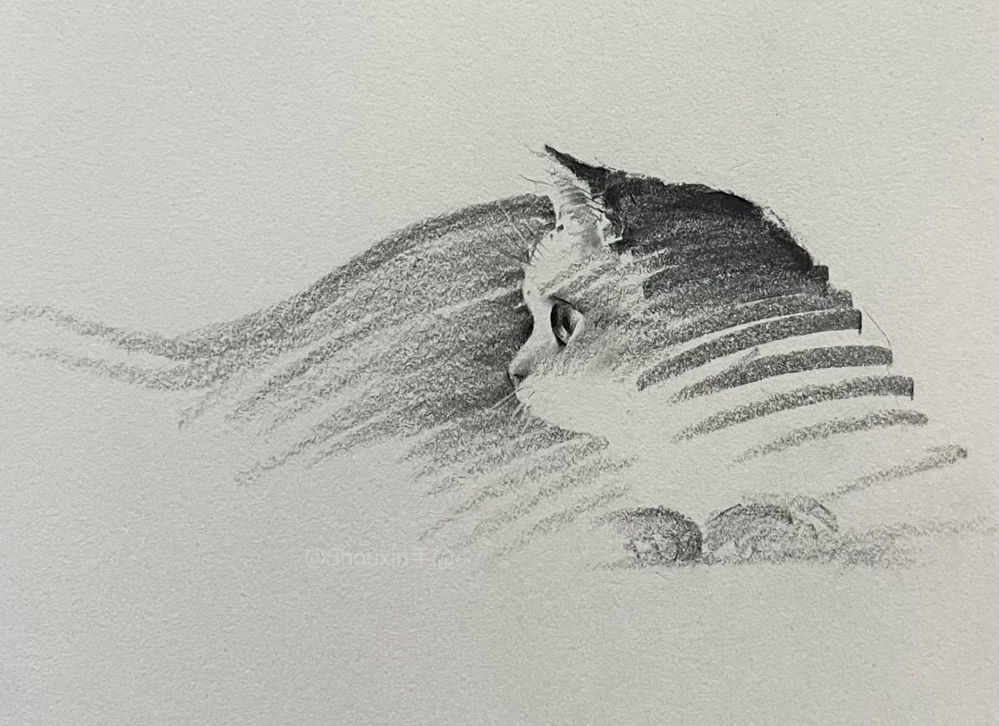 Expressive Kitties Emerge from Energetic Graphite Lines in Drawings by ShouXin