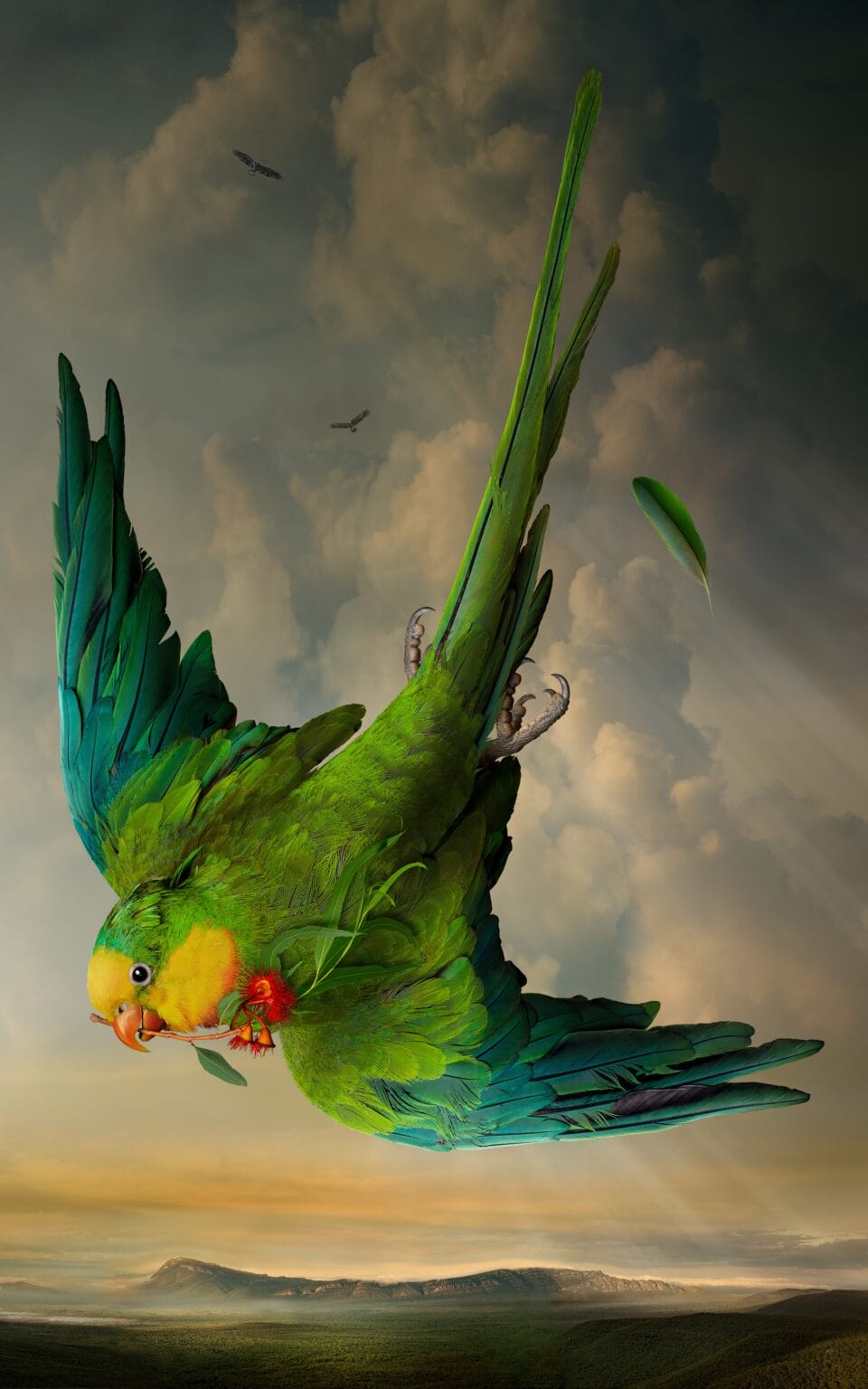 a photographic portrait of a parakeet