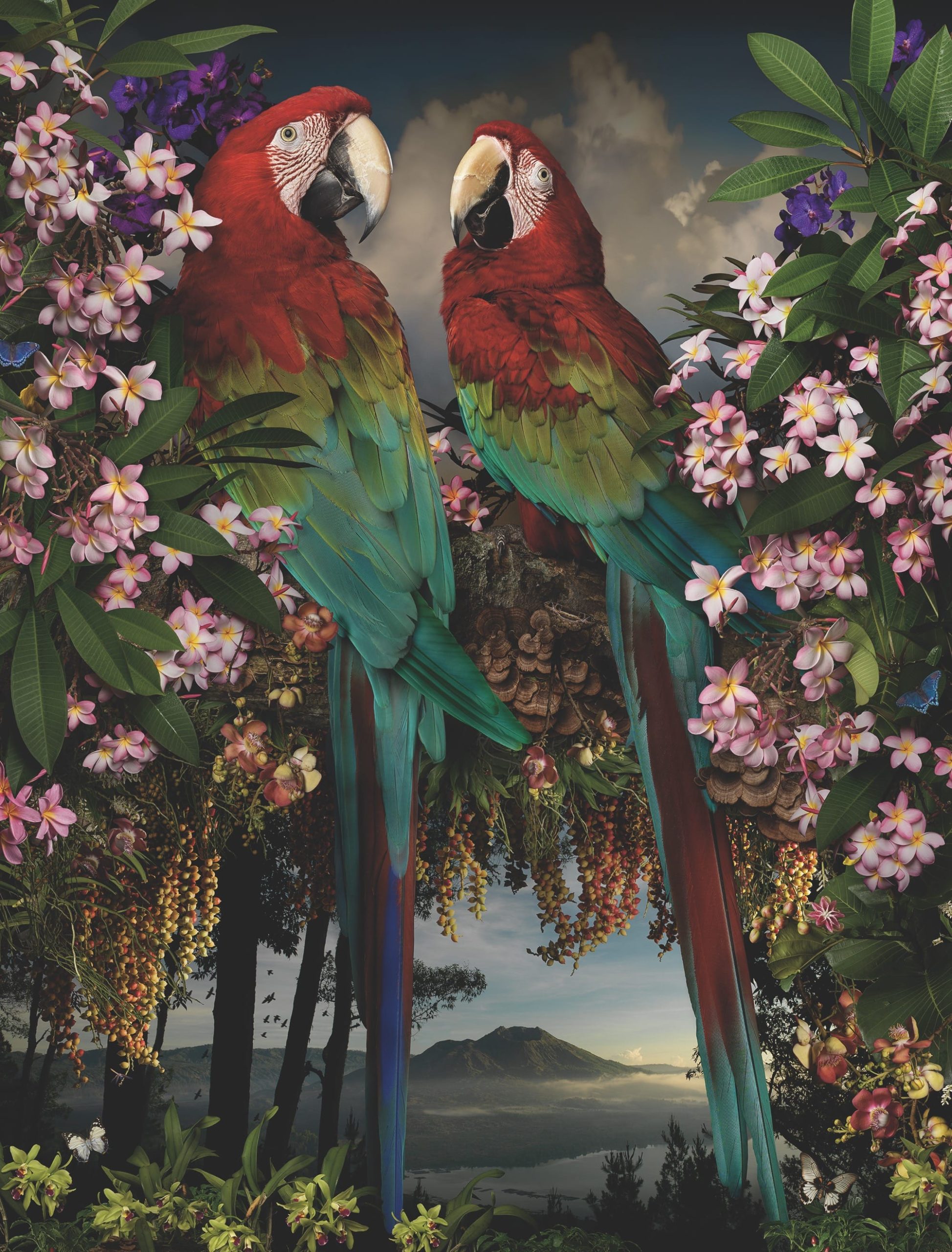 Contemporary Photographers in Australia and New Zealand Define ‘Exposure’