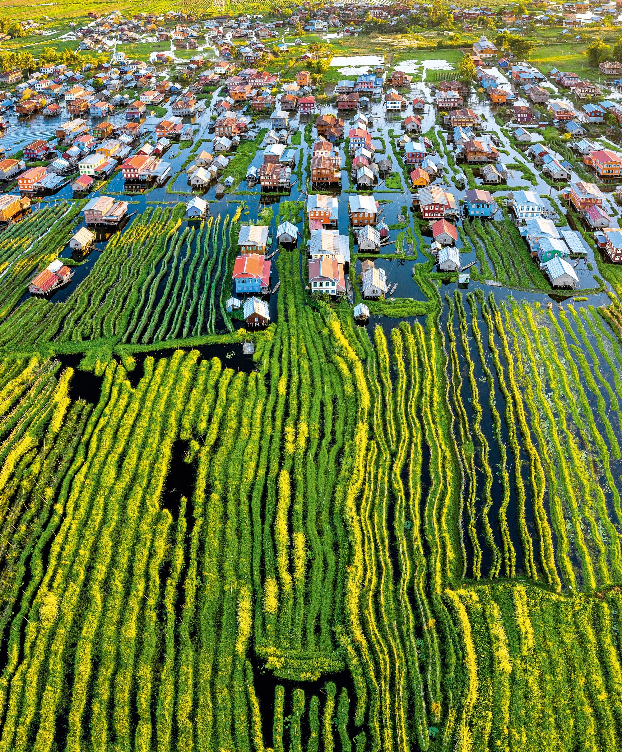 an aerial photo by Toby Harriman of floating gardens
